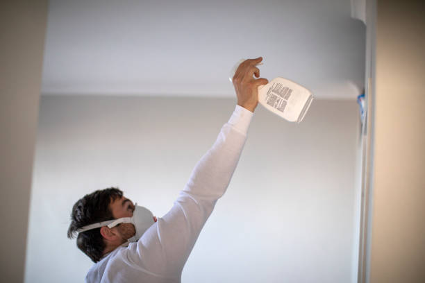 Best Home Mold Removal  in Medford, WI